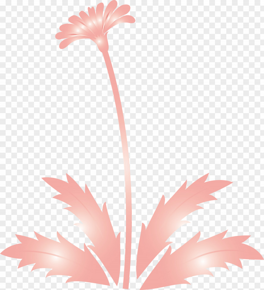 Flower Leaf Plant Pedicel Stem PNG