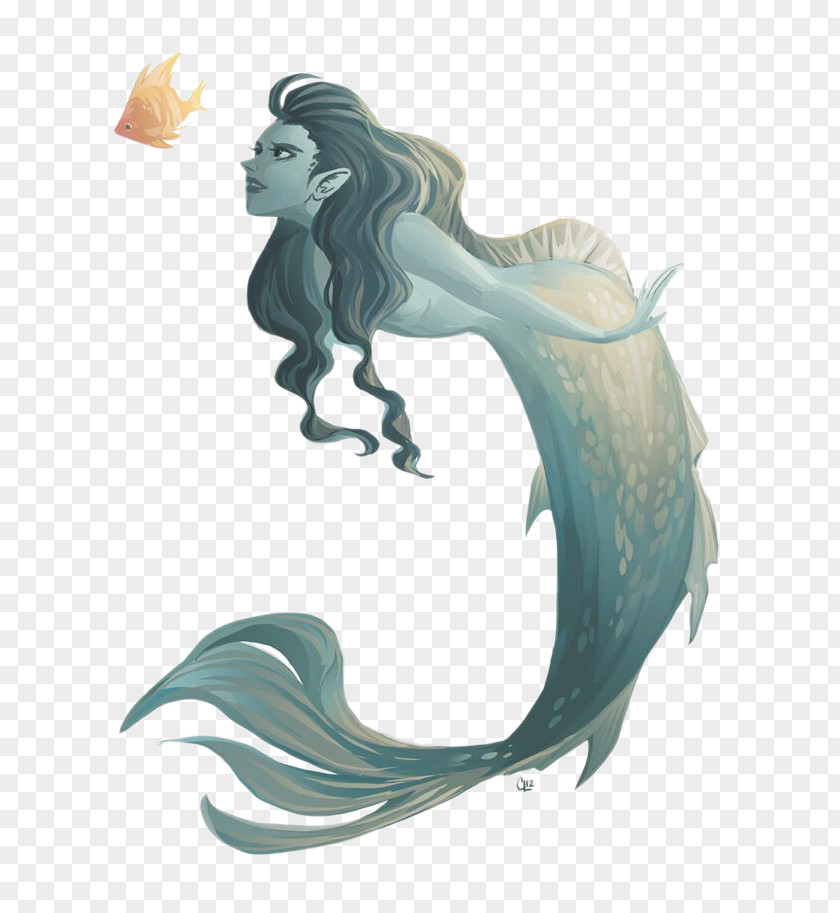 Mermaid Drawing Illustration PNG