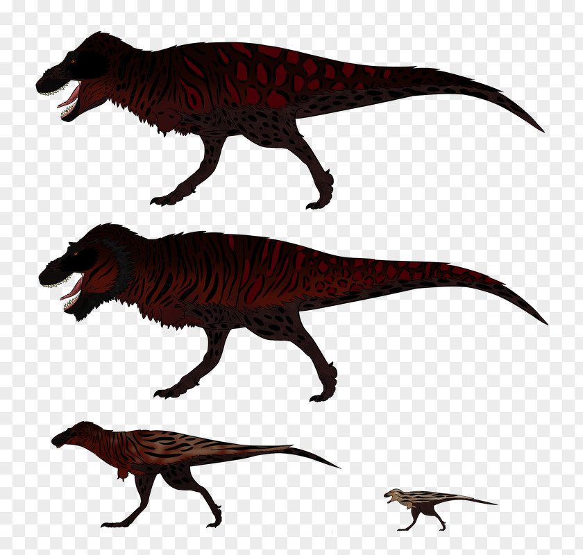 Suchomimus Spinosaurus Tyrannosaurus Velociraptor Dinosaur Hell Creek Formation Reptile PNG