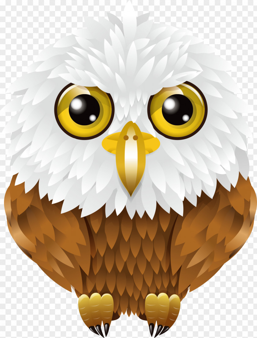 Vector Cute Owl Euclidean Illustration PNG