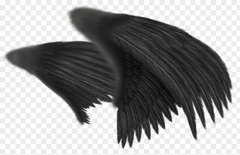 Black Angel Wing Clip Art PNG