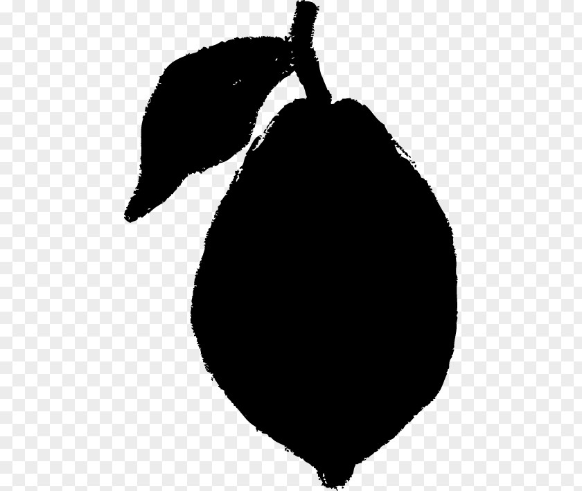 Black Lemon And White PNG