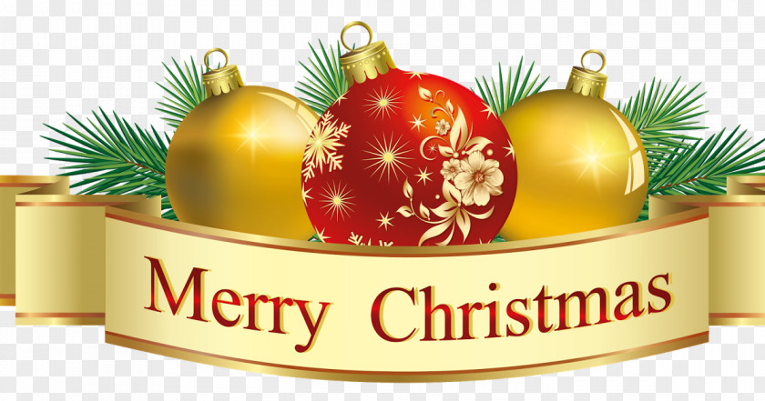 Christmas Tree Julesy's BnB And Holiday Season Gift PNG