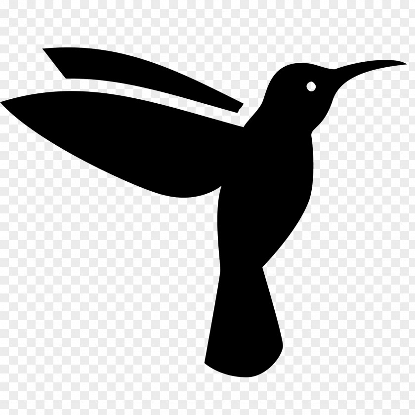 Flying Birds Hummingbird Symbol Goose PNG