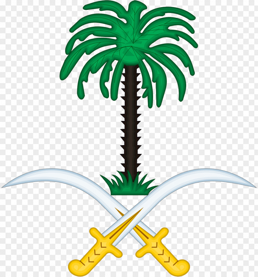 Houseplant Symbol Palm Tree Leaf PNG