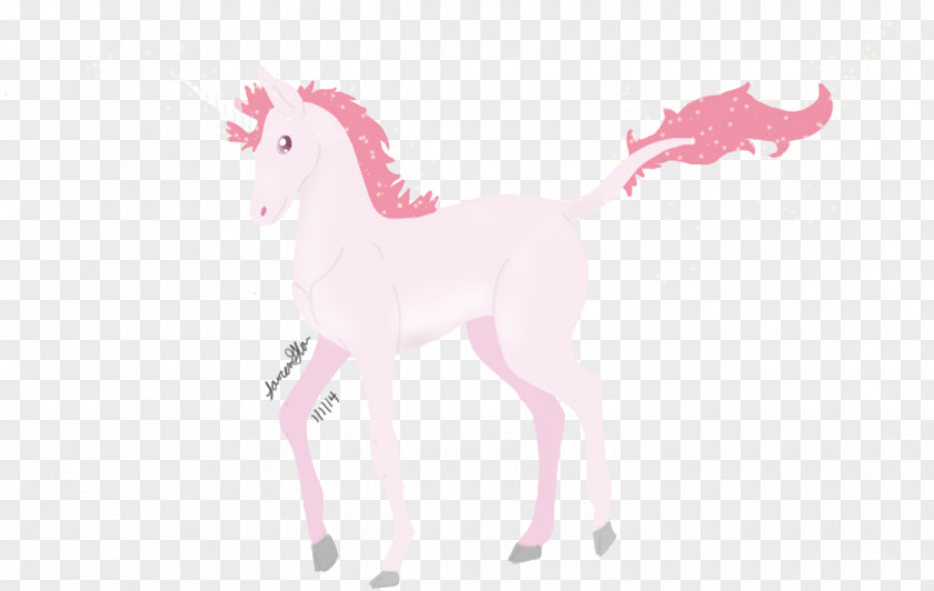 Unicorn Horn Horse Pegasus Mythology Legendary Creature PNG