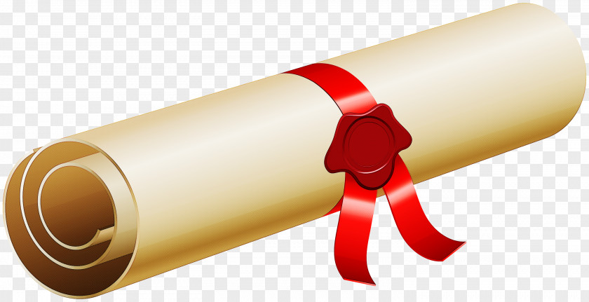 Diploma Cylinder Christmas Cracker PNG