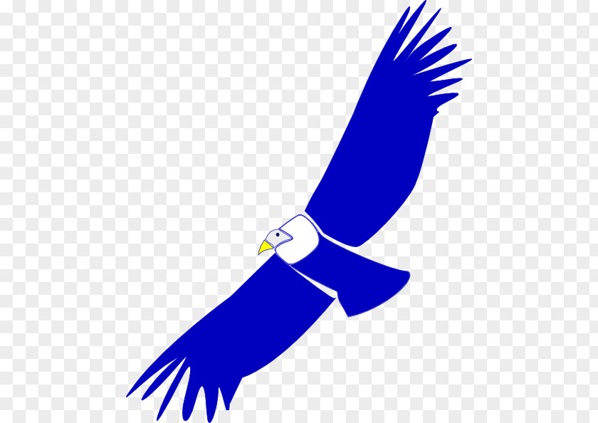 Eagle Condor Clip Art PNG
