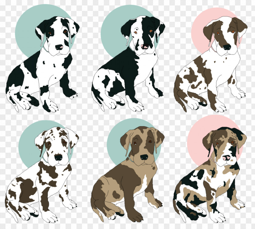 GREAT DANE Dalmatian Dog Puppy Breed Companion German Shepherd PNG