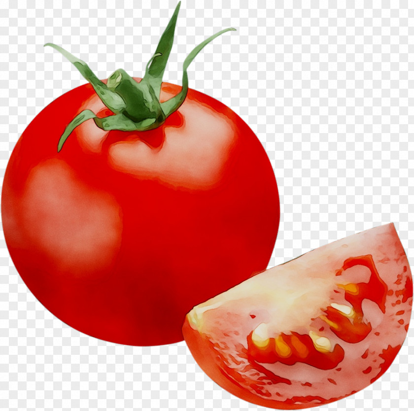 Plum Tomato Superfood Bush PNG