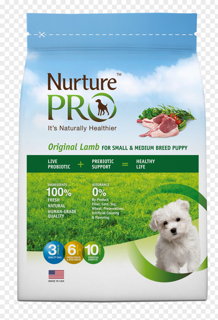 Dog Food Puppy Cat PNG
