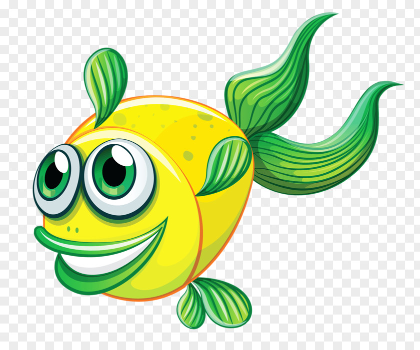 Fish Photography PNG