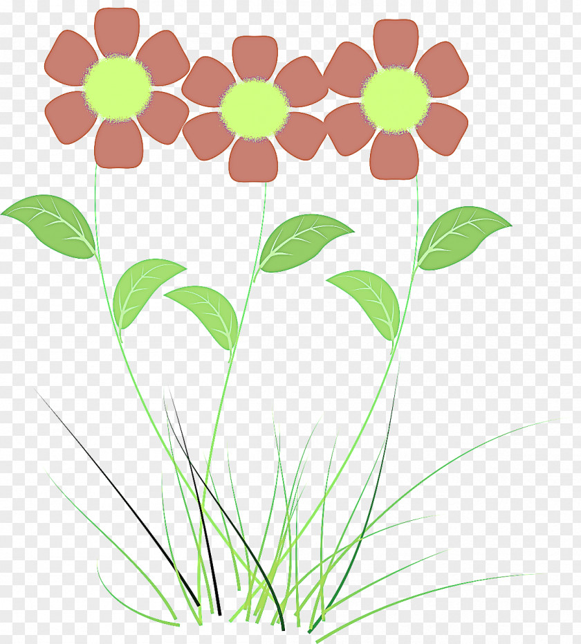 Flowering Plant Flowerpot Flower Clip Art Leaf Grass PNG