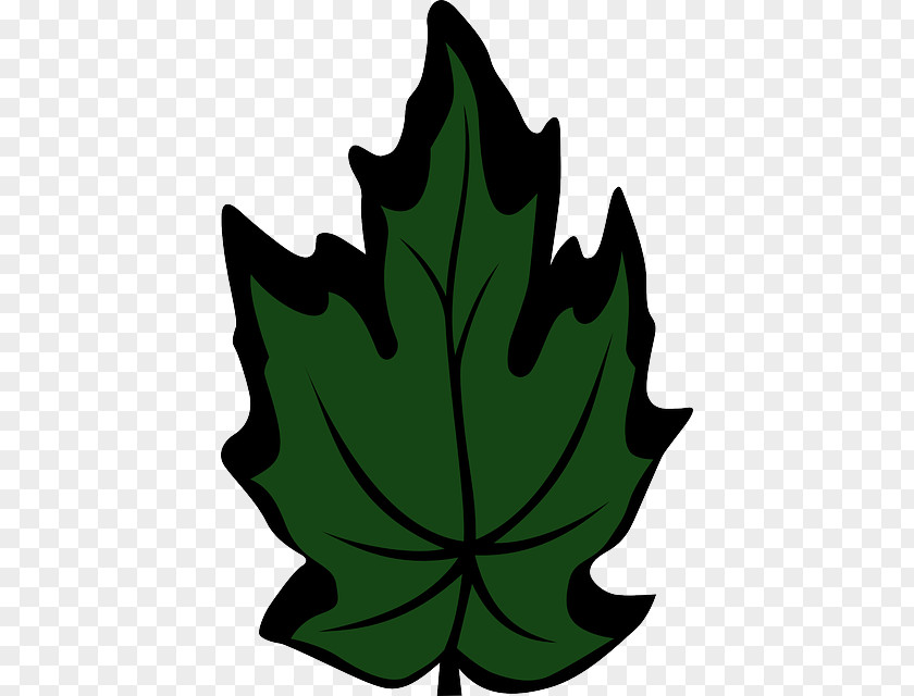 Organic Chinese Cabbage Maple Leaf Green Clip Art PNG
