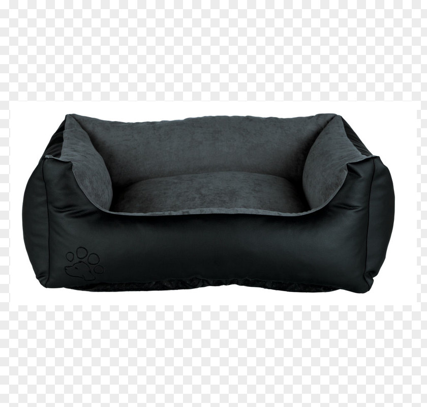 Bed Couch Throw Pillows Dog PNG