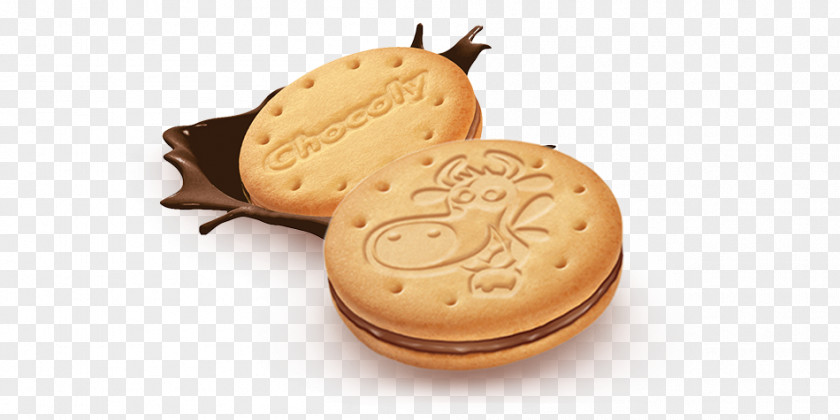 Chocolate Biscuits Cookie M Biscuit PNG