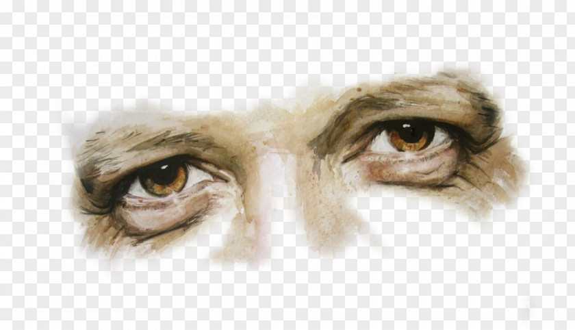 Creative Hand-painted Man's Eyes Eyebrow Watercolor Painting Artist Pupil PNG