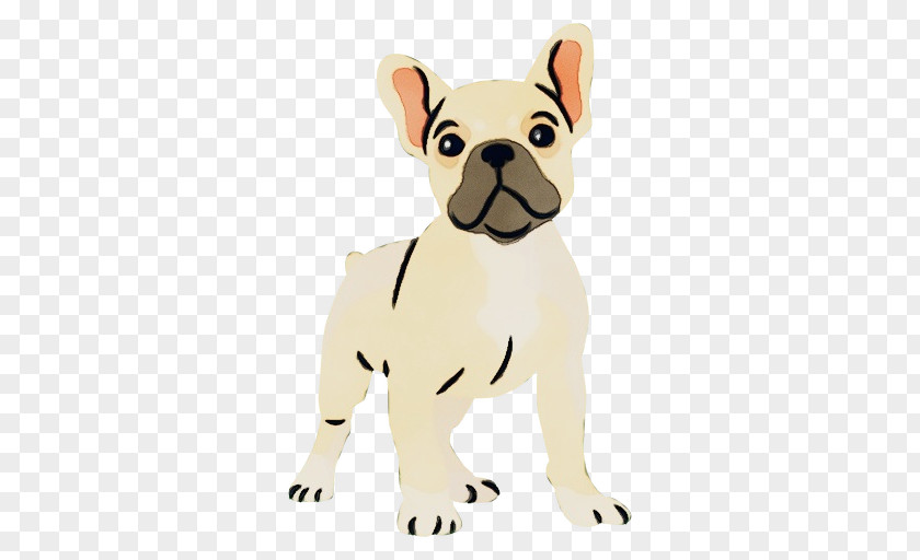 French Bulldog PNG