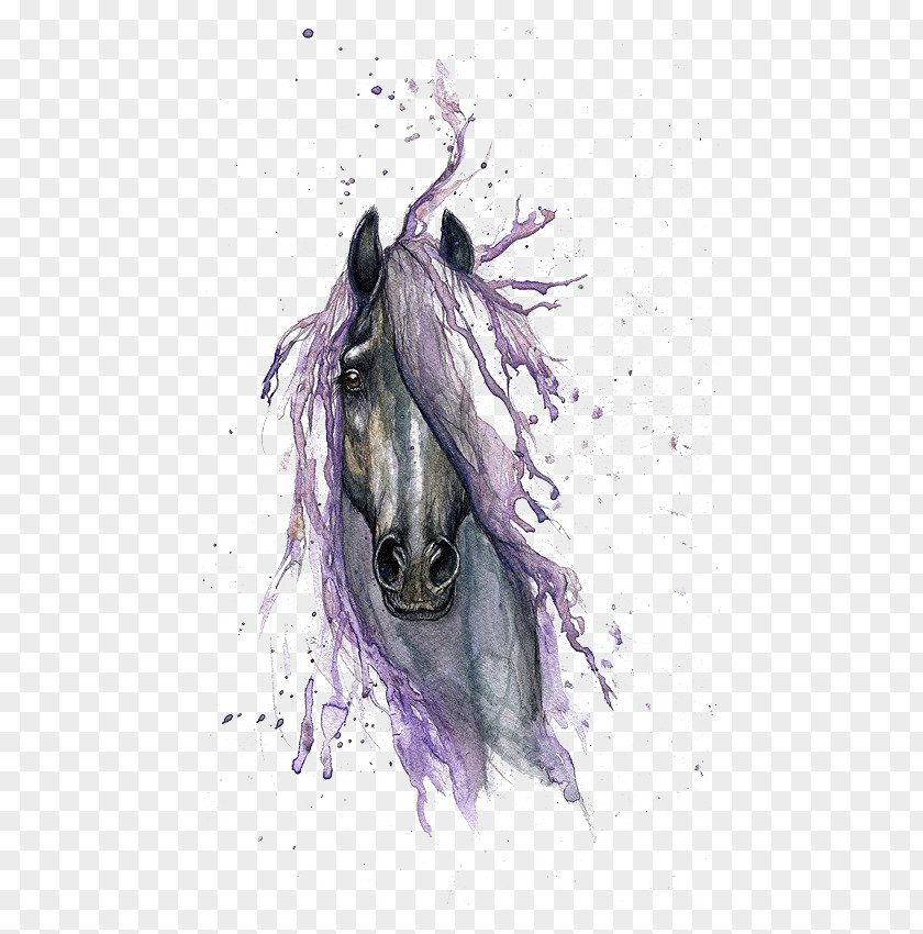 Horse Watercolor Painting Drawing Tattoo PNG