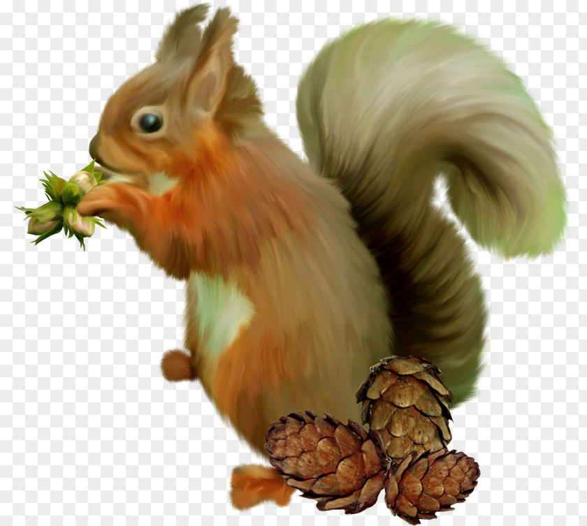 Sky Squirrel Chipmunk GIMP Clip Art PNG
