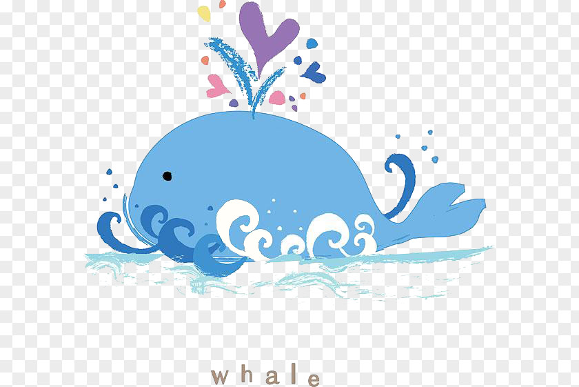 Blue Whale Adobe Illustrator Illustration PNG