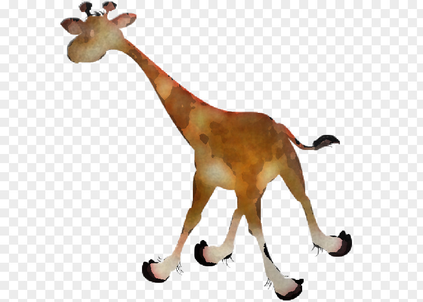 Giraffe Giraffidae Animal Figure Wildlife Toy PNG