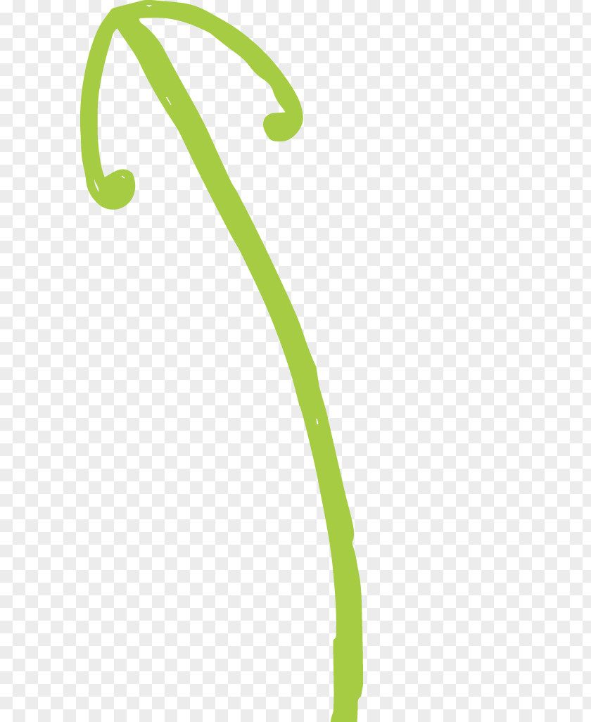 Leaf Clip Art Product Design Green PNG