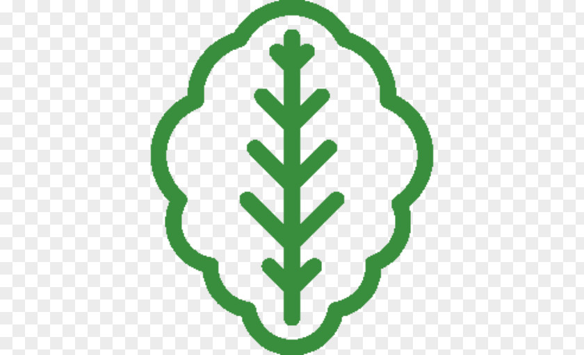 Lettuce Symbol PNG