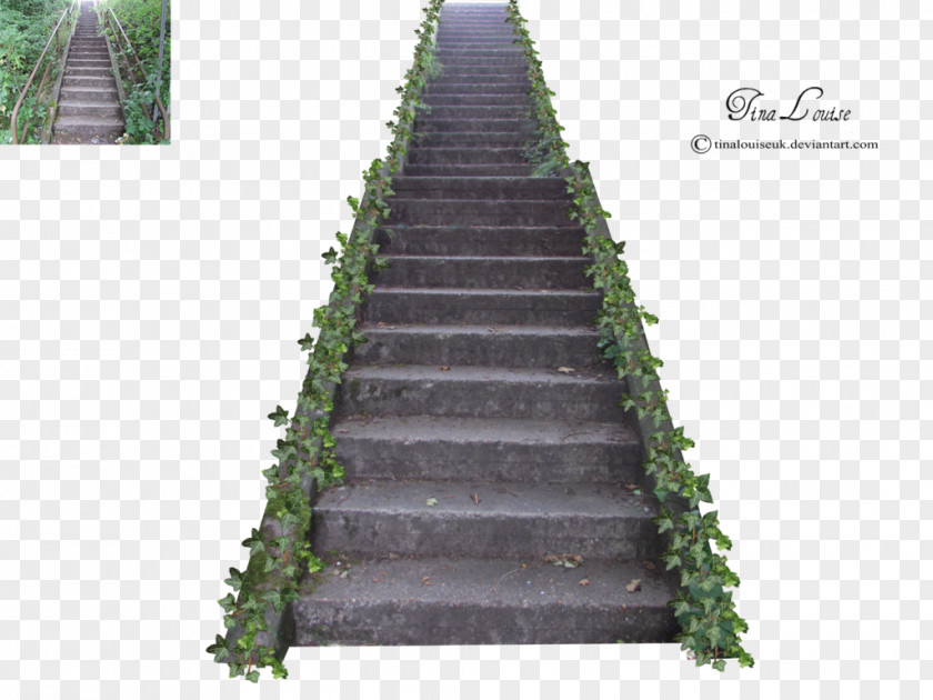 Stairs Photos PNG