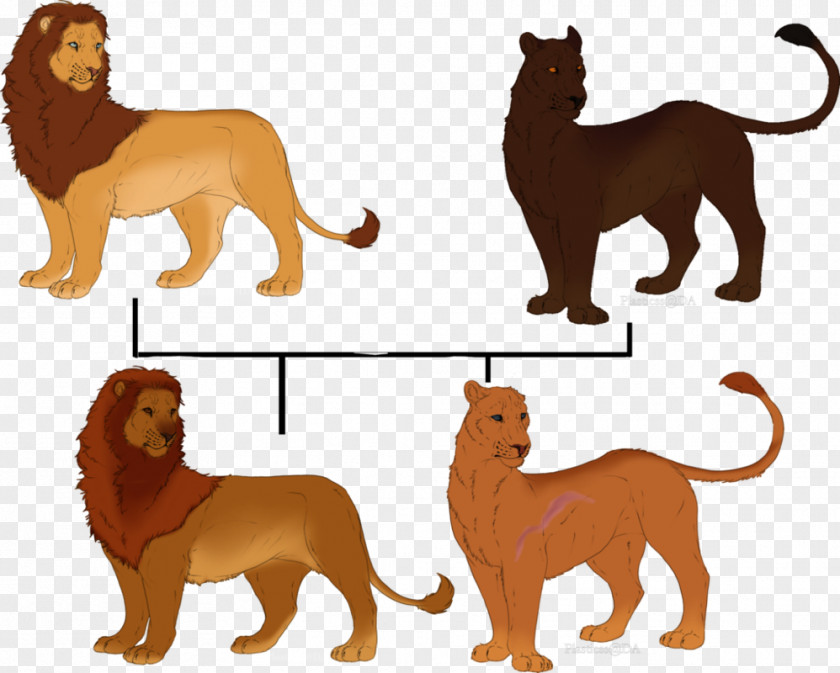 Tree Family Dog Breed Lion Cat Terrestrial Animal PNG