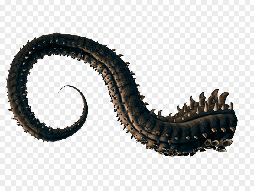 Blog Tentacle Rendering Invertebrate PNG