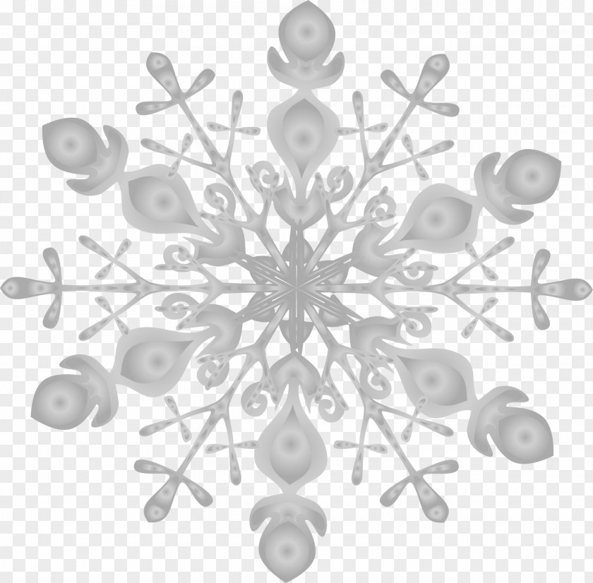 Grey Winter Snow Snowflake PNG