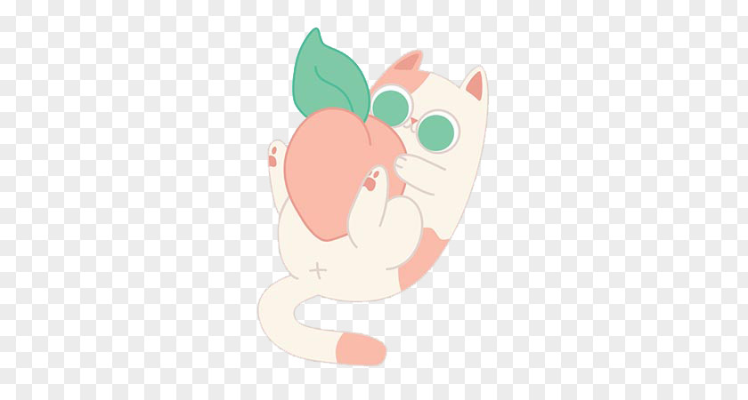 Hold Peach Cat Cartoon Illustration PNG