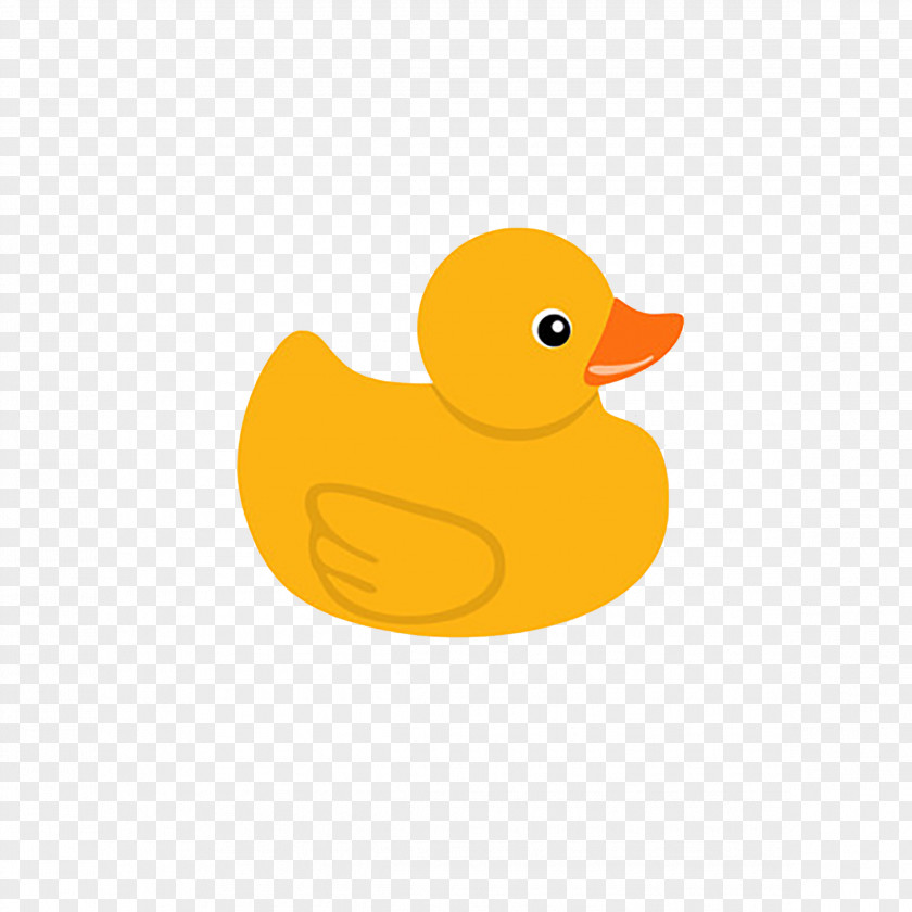 Little Yellow Duck Project Clip Art PNG