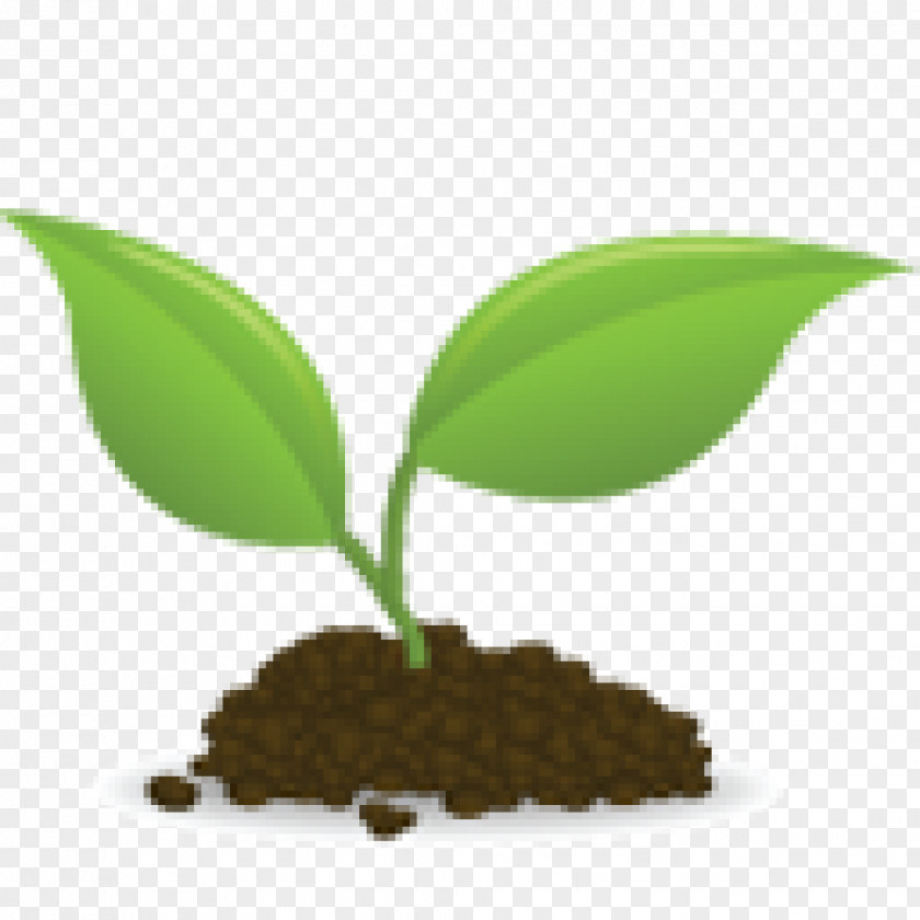 Seedling Sprouting Clip Art PNG