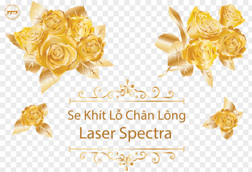 Spectra Laser Peel Vector Graphics حنابندان Design Rose PNG