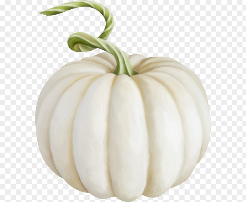 Talavera Pumpkin Patty Pan Gourd Image Jack-o'-lantern PNG