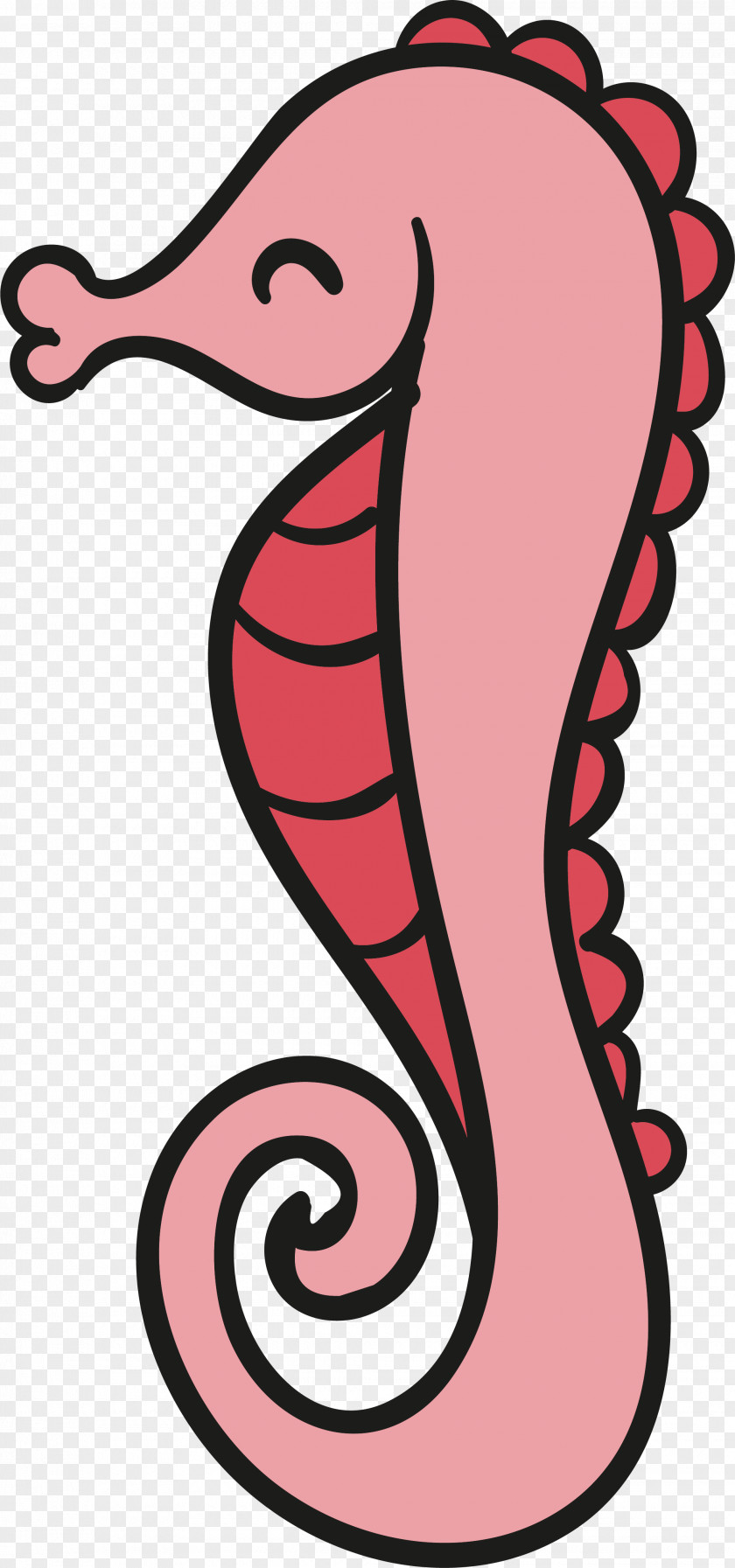 Cartoon Seahorse Design Animation Drawing PNG