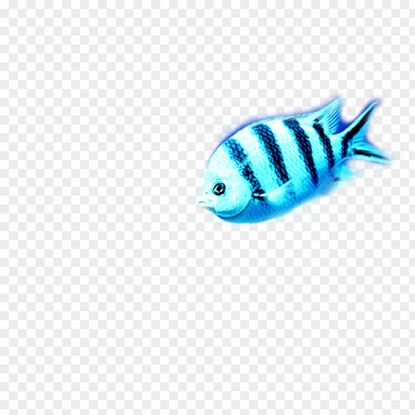 Fish Turquoise Pattern PNG