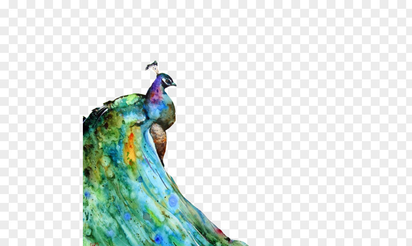 Ink Painting Peacock Watercolor Peafowl Canvas Print Portrait PNG