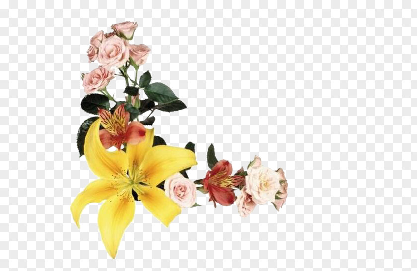 Lily Lilium Flower Clip Art PNG