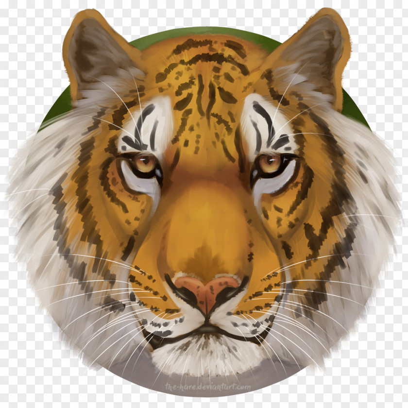 Tiger Cat Panther Hare Painting PNG