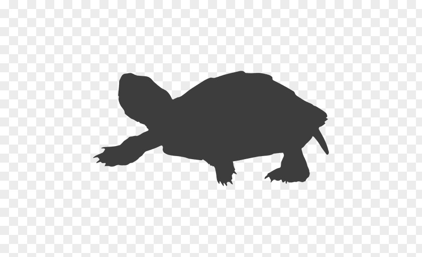 Turtle Sea Tortoise Silhouette PNG