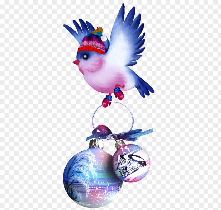 Bird .pptx Clip Art PNG