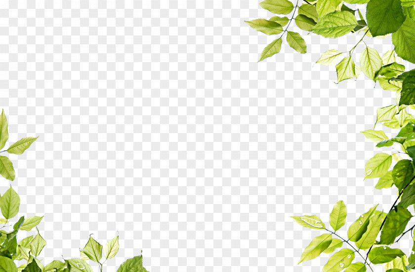 Green Leaves Frame Leaf Clip Art PNG