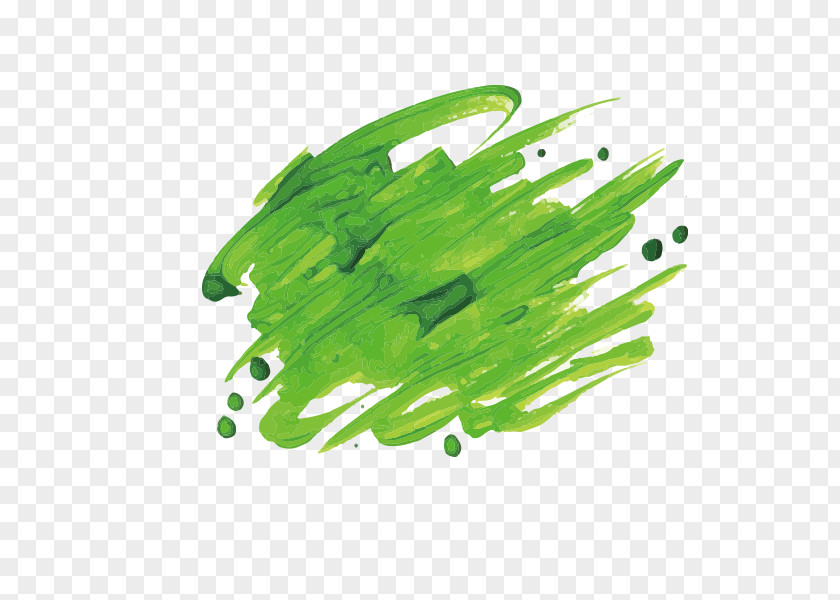 Green Watercolor Brush Strokes Ink PNG