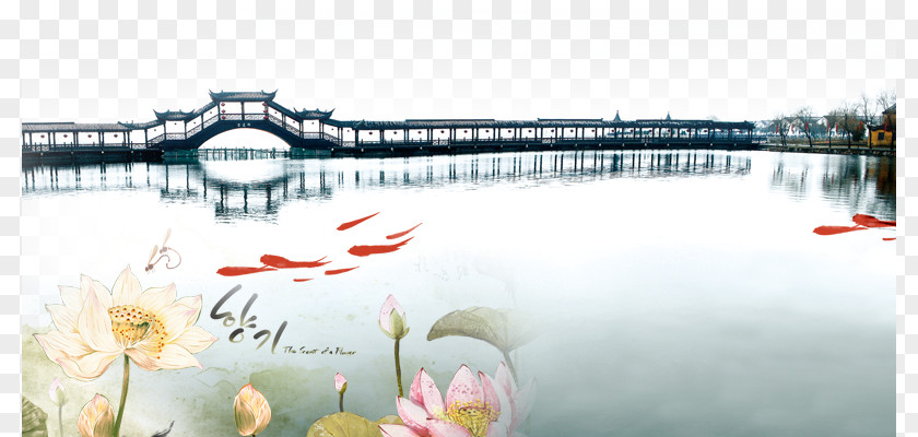 Ink Bridges Lotus Material Download Nanxun District Zhouzhuang Jinxi, Kunshan Jiangnan Clothing PNG