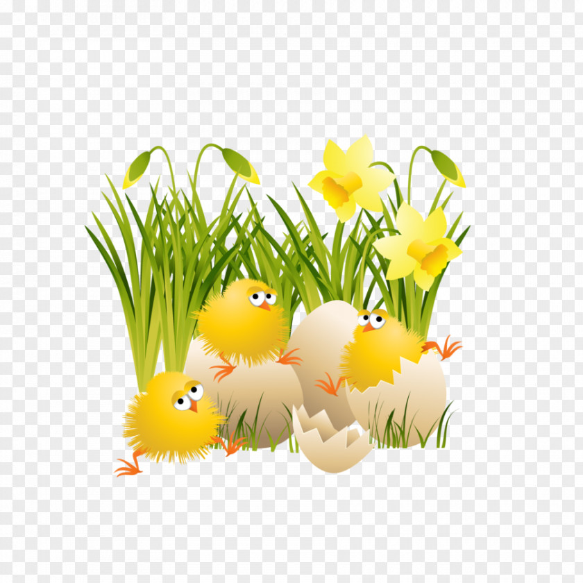 Large Easter Chicks Chicken Clip Art PNG