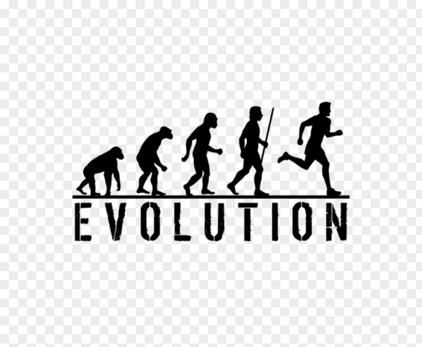 Beer Man T-shirt Human Evolution Homo Sapiens Ape PNG