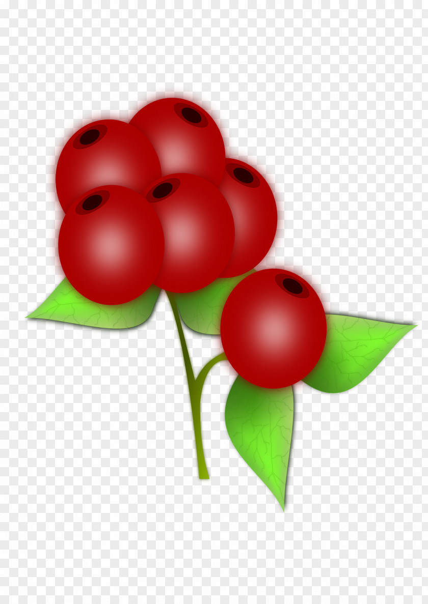 Berries Berry Fruit Clip Art PNG